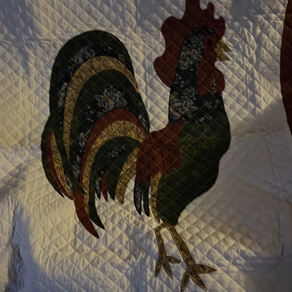 Beautiful chicken blanket/tapestry.  Measures 61 x 51 inches